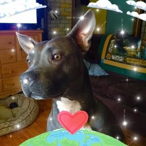 Meet your Posher, Scott